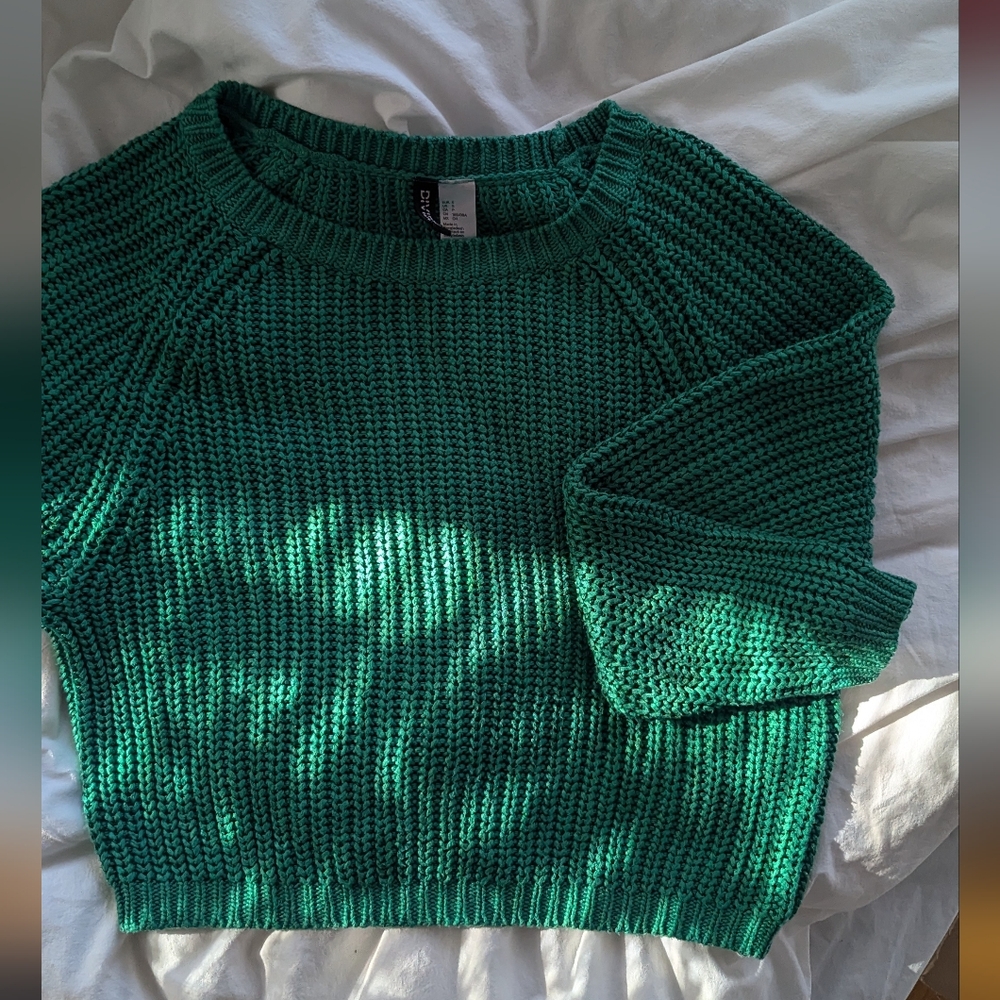 H&M Chunky Knit Sweater